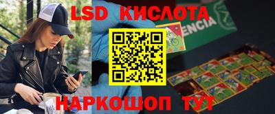 стаф Бузулук