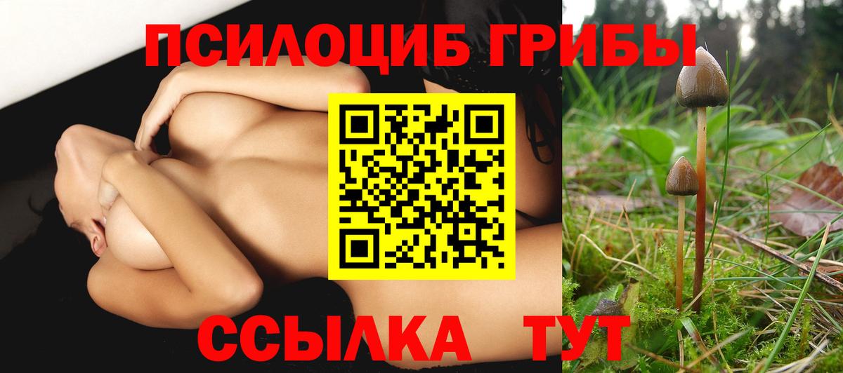 Псилоцибиновые грибы мицелий Ростов Великий